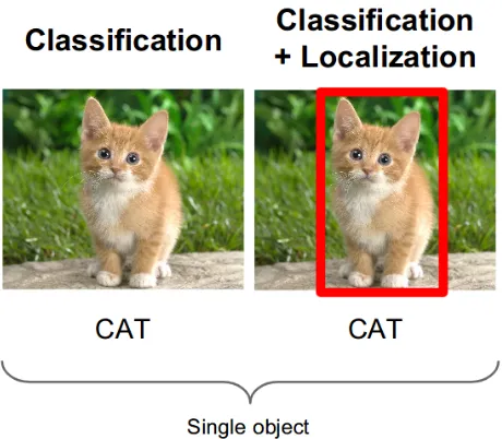 Figure 2.7: Diﬀerence between image classiﬁcation (left) and object detection (right).