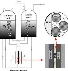 Figure 1. Schematic of MEA ozone generator 