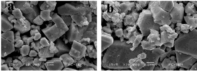 Figure 7.  SEM pictures of the anode catalyst (a, fresh catalyst; b, old catalyst) 