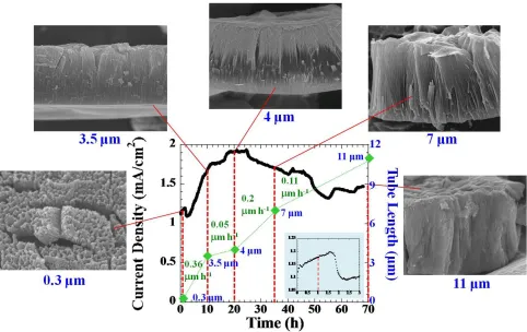 Figure 8.  A current density for titanium anodization in a fresh-prepared electrolyte (DMSOEtOH (1:1)4% HF) using 20 V and 70 h, with the overlay FESEM images of the as-anodized TiO2 nanotube array films obtained at different anodization