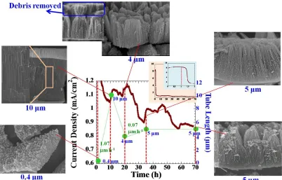 Figure 9.   A current density for titanium anodization in a 2nd-time used electrolyte (after the electrolyte in Figure  was first used), using 20 V and 70 h, with the overlay FESEM images of the as-anodized TiO2 nanotube array films obtained at different a