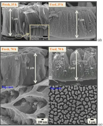 Figure 2.  FESEM images showing cross-sectional and top views of TiO2 nanotube arrays fabricated from the ‘fresh-prepared electrolytes’ (left, DMSOEtOH electrolyte containing 4.0% HF at 20 V) and the ‘used electrolytes’ (right, reanodizing the first used 