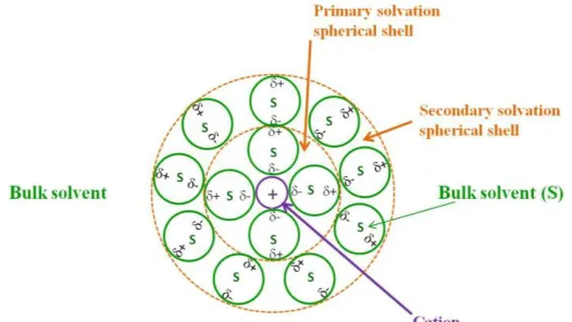 Figure 6.   A schematic representation of a solvated metal ion or cation.  