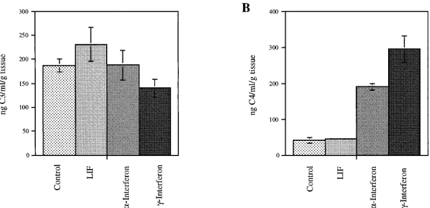 FIG. 1. Cytokine induction of C3 and C4 expression. Triplicate and quadruplicate synovial explant cultures from patients were treated with LIF at 10 ng/ml, IFN-�at 1,000 U/ml, or IFN-was not affected
