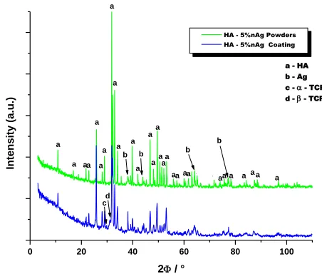 Figure 6.   XRD pattern of nAg-HA powders and coating. 