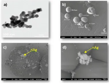 Table 1. Plasma-spraying optimal parameters  