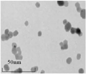 Figure 2. TEM image of the synthesized PdS nanoparticles 