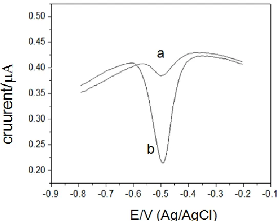 Figure 3.  DPV response of the biosensor in the prepared solution containing 1 nmol L-1 DNA-PbS (a) without Hg2+ (b) in the presence of Hg2+ (c =1280 nmol L-1)