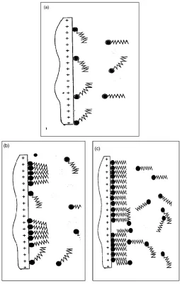 Figure 6.  Schematic representation of the inhibitor adsorption on carbon steel surface