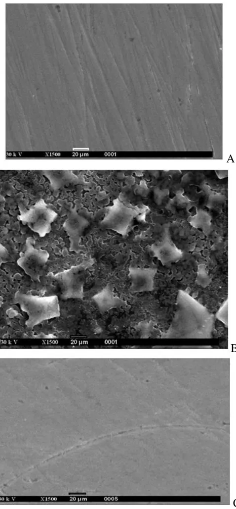 Figure 7. SEM of the carbon steel surface: (a) polished sample, (b) after immersion in the formation water and (c) after immersion in the formation water in the presence of 250 ppm of compound III  