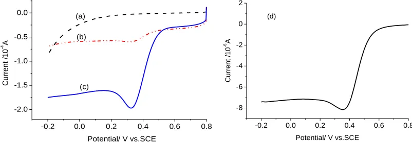 Figure 1.  Linear sweep voltammograms of different electrodes. (a) AB in 0.5 mol L-1 H2SO4 solution saturated by O2, (b) CoMe/C600 catalyst in 0.5 mol L-1 H2SO4 solution saturated by N2 , (c) CoMe/C600 catalyst in 0.5 mol L-1 H2SO4 solution saturated by O2