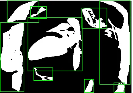 Fig .8 Shape obtained after noise reduction operation 