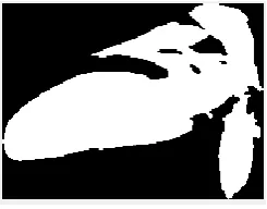 Fig .11 a) Segment the boundaries of objects. b) Putting the boundary on the original image
