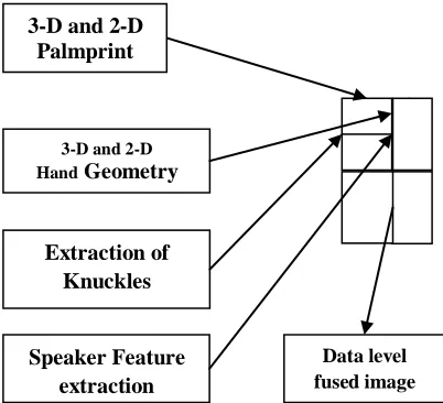 FIG 1: Fusing different levels in data level 