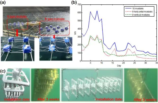 Figure 6. Performance of the ocean kinetic energy harvesting module with the conductive graphene-based solution IPMC