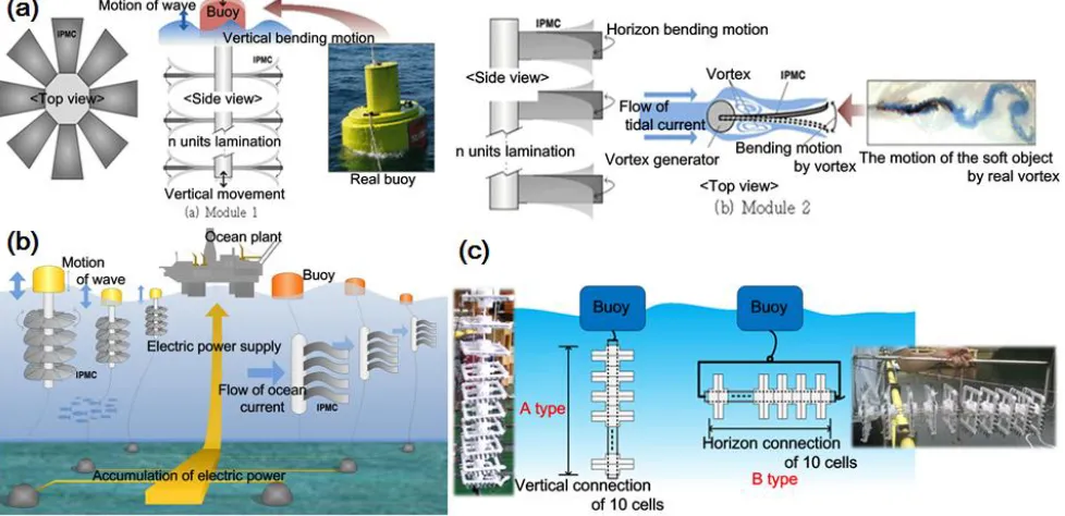 Figure 2. Conceptual designs of the ocean kinetic energy harvesting structure with an electrochemical material consisting of IPMC