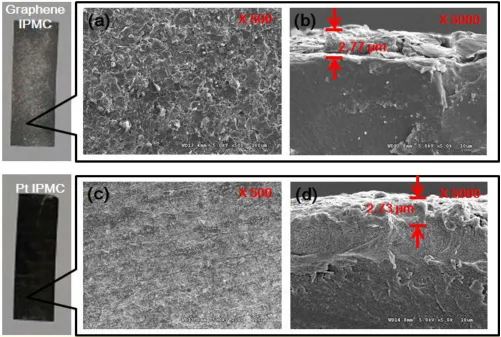 Figure 3.  SEM image comparison of graphene based IPMC and platinum based IPMC. (a) Surface SEM image of graphene based IPMC