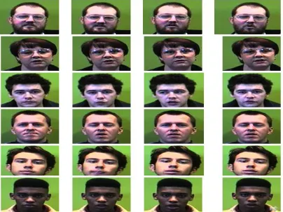 Fig (4) Some image samples for different faces in the used dataset.   