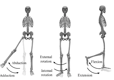 Figure 2-3 Anatomical definitions of different rotation 