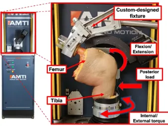 Figure 2-7 The experiment set up on The AMTI VIVO joint motion simulator 