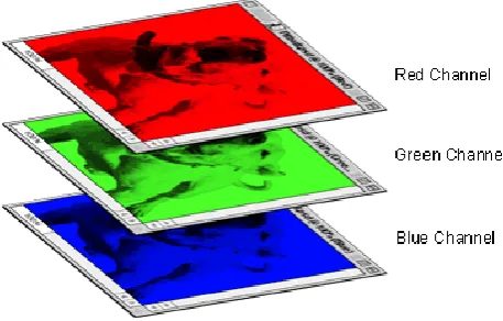 Figure (1): Color image. 