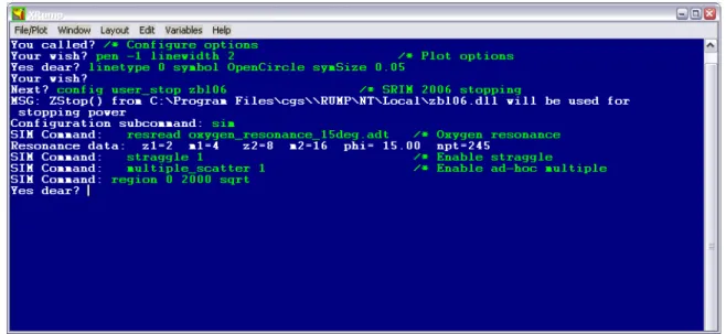 FIG. 14.9. Second step of a RUMP analysis: Configure simulation parameters. 