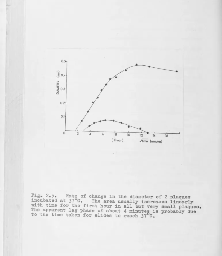 Fig. 2.5. incubated 