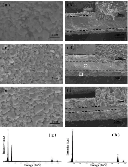 Figure 1.  SEM images of as-dealloyed samples by chemical dealloying of as-cast Al 50 at.% Cu alloy slices in the 5 wt.% HCl solution at 90℃ for (a-b) 3 h, (c-d) 5 h, (e-f) 10 h