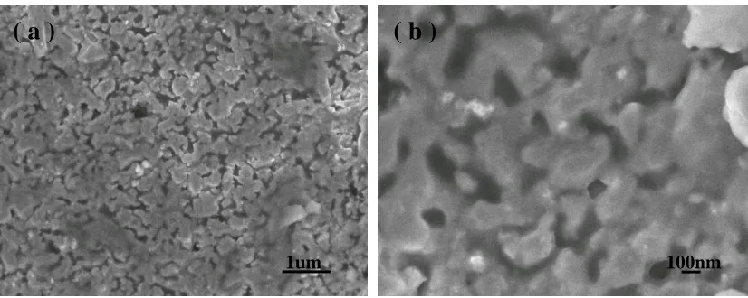 Figure 6.  SEM images of the 3D-NPC/Sn thin film electrode after 60 cycles at 0.1C rate