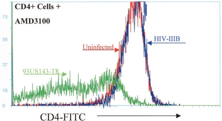 FIG. 5. Down modulation of CXCR4 after infection of CD8�93US143-T8 (A) and IIIB (B) isolates or left as an uninfected control (C) as described for Fig
