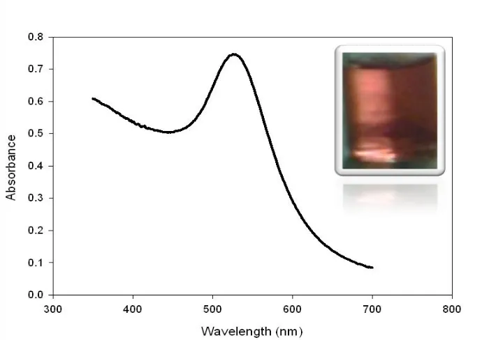 Figure 2. UV-Vis spectra for the gold nanoparticles colloidal solution prepared by the reduction of 1% sodium tetrachloroaureate with 1 ml of 0.075% NaBH4.38.8 mM Sodium citrate was used as a stabilizer