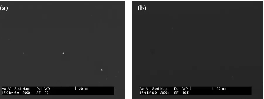 Figure 1. Scanning electron micrographs of cerium-silica coatings doped with (a) 0.000 M and (b) 0.05 M cerium nitrate on HDG steel samples prior to immersion in a 3.5% NaCl solution