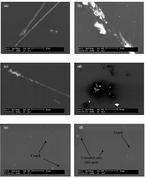 Figure 2. Scanning electron micrographs of cerium-silica coatings doped with (a) 0.000 M , (b) 0.001 M, (c) 0.005 M, (d) 0.01 M, (e) 0.05 M and (f) 0.1 M cerium nitrate on HDG steel samples after 144 hours immersion in 3.5% NaCl solution