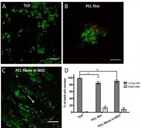 Figure 5. Overview of live and dead neuronal cells in the