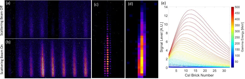 FIG. 2. (a) CsI scintillator raw data without the counter-propagating scattering beam
