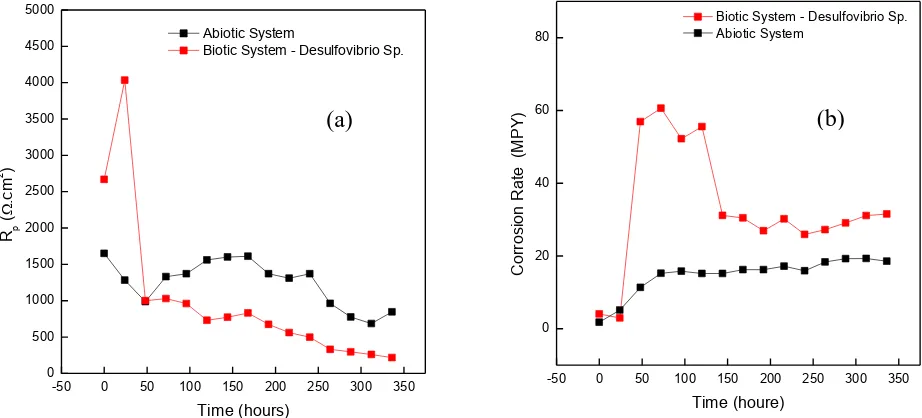 Figure 7.  (a) Polarization (Rp) and (b) Corrosion rate variations under biotic and abiotic conditions