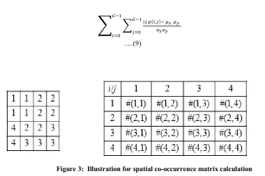 Figure 3:  Illustration for spatial co-occurrence matrix calculation 
