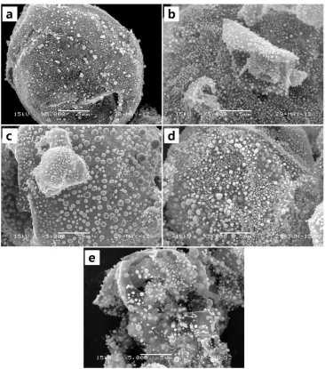Figure 4.  SEM images of the Cu-Sn/C composite powders reduced at (a) 400 oC, (b) 500 oC, (c) 600oC, (d) 700 oC, and (e) 800 oC