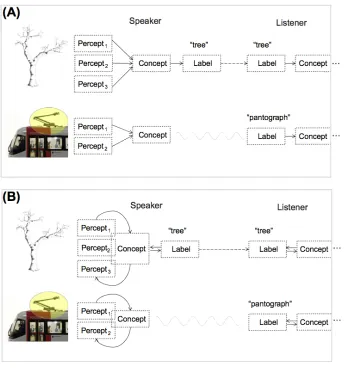 Figure 1.1. The Label-feedback Hypothesis (Lupyan, 2012). (A): A schematic view of the standard account in which a word label is simply a means of accessing a concept