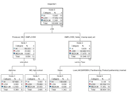 Figure 7 The most important features using the Quest Tree algorithm 