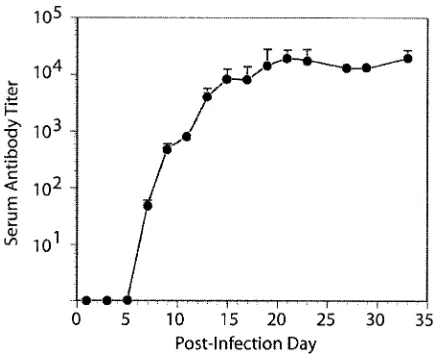 FIG. 2. Virus-speciﬁc antibody titers in sera from SJL/J mice. Ti-ters were assayed by ELISAs for the same SJL/J mice that were used