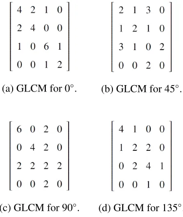 Figure 2.7: GLCM values for a given image in Figure 2.5.