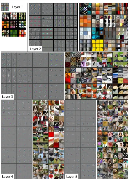 Figure 2.24: AlexNet feature map visualization taken with permission from [43].