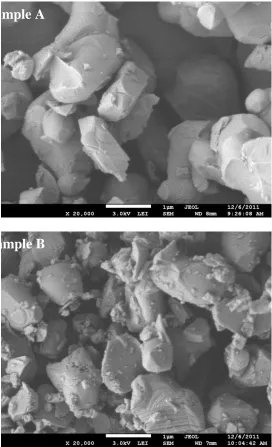 Figure 2. SEM images of (a) Sample A and (b) Sample B. 