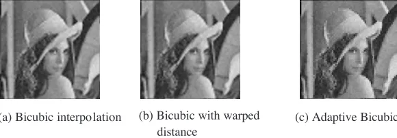 Figure 8. Bicubic interpolation (SNR = 20 dB).
