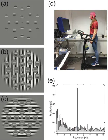 Figure 2 Example stimuli, photograph of experimental set-up, and example Fourier spectrum
