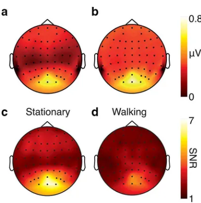 Figure 6 shows hyperbolic contrast response functions of the