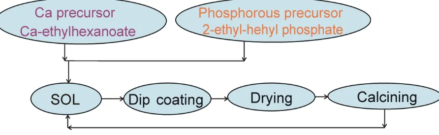 Figure 1. The flow chart of the sol synthesis and coating formation. 