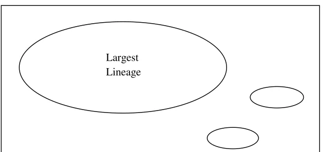 Figure 2. Three Types of Villages by Lineage Structures 