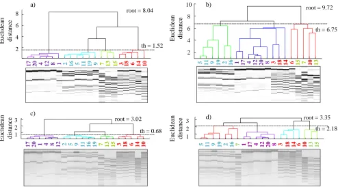 Figure 9. Influence of image and signal pre-processing and DTW utilization on result of sample classification